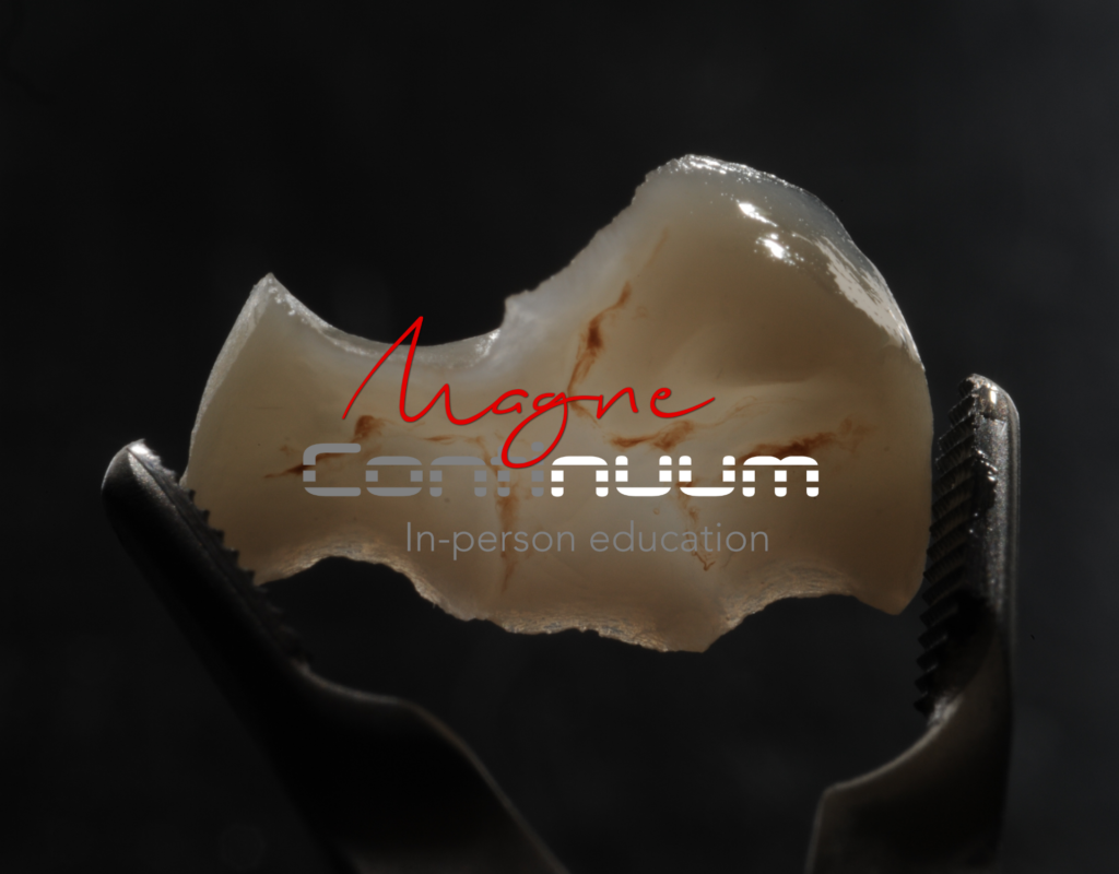 Magne Education biomimetic restorative dentistry Continuing Education course visuel Continuum 3