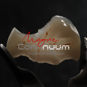 Magne Education biomimetic restorative dentistry Continuing Education course visuel Continuum 3