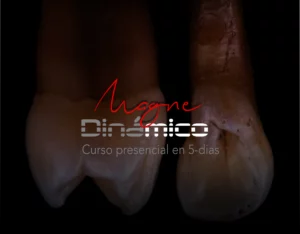 Magne Education biomimetic restorative dentistry Continuing Education course visuel Dinamico