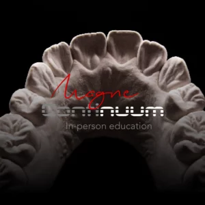 Magne Education biomimetic restorative dentistry Continuing Education course visuel Continuum 1 scaled
