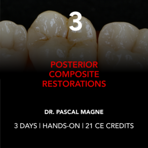 Magne Education biomimetic restorative dentistry Continuing Education package Hands On course 3