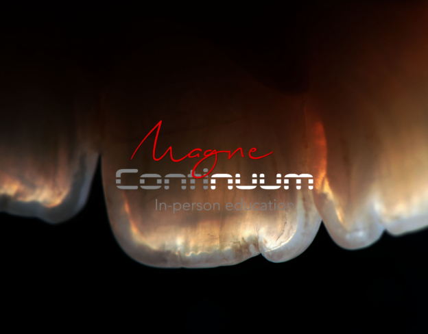 Magne Education biomimetic restorative dentistry Continuing Education course visuel Continuum 4