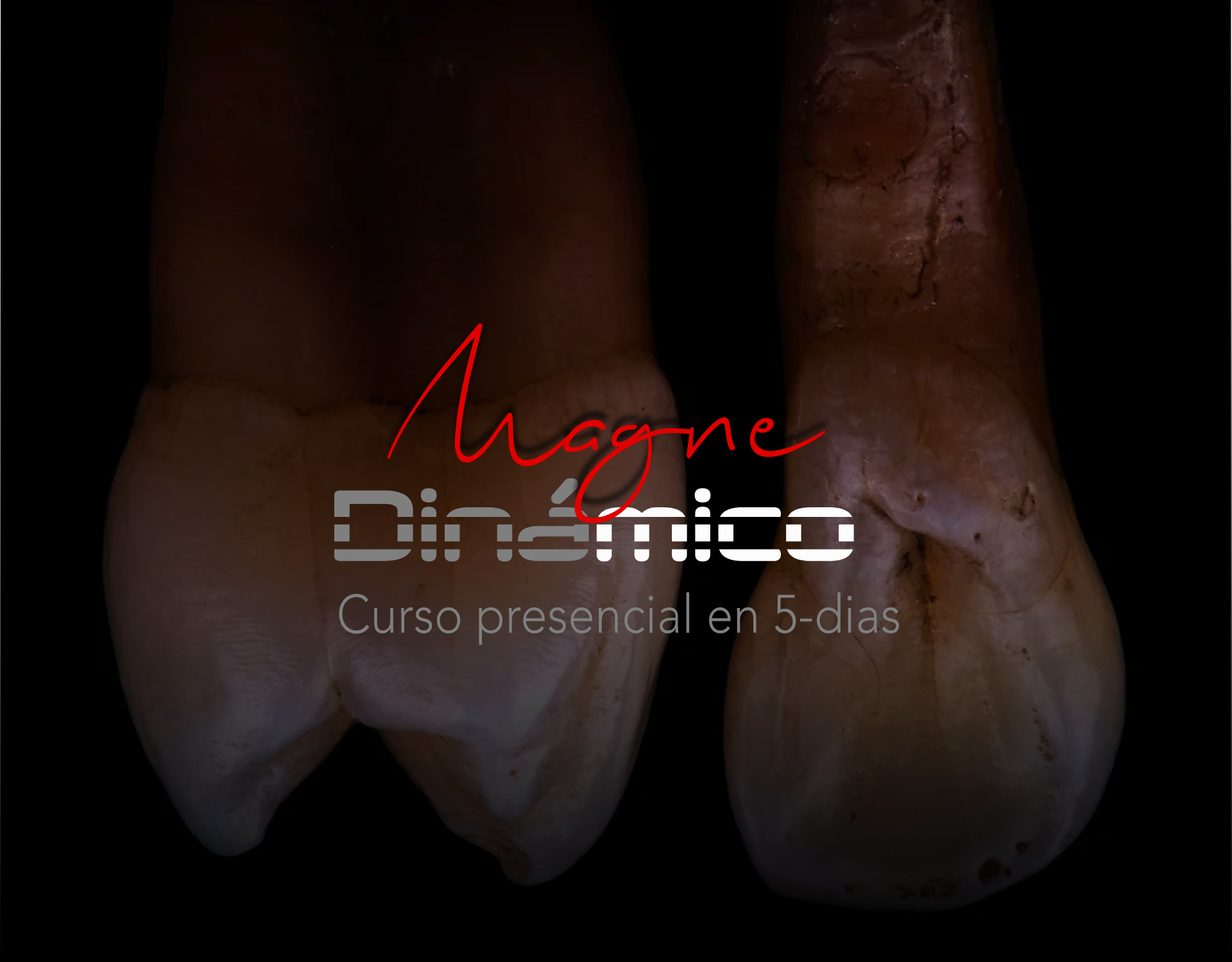 Magne Dinamico (Spanish) (February 16-20, 2026)