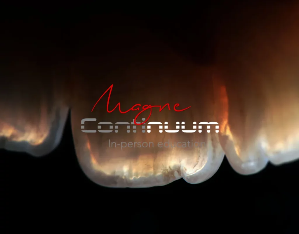 Magne Education biomimetic restorative dentistry Continuing Education course visuel Continuum 4