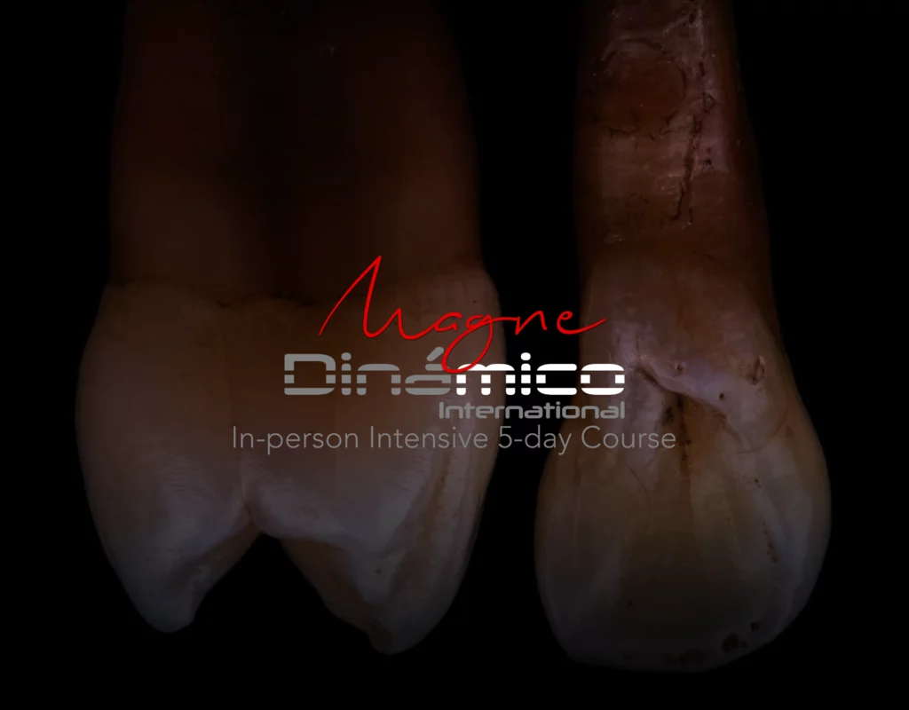 Magne Education international biomimetic restorative dentistry Continuing Education course visuel Dinamico EN