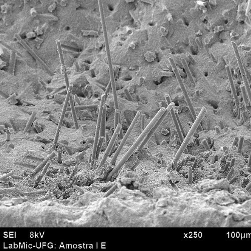 Biomaterials in the Biomimetic Approach