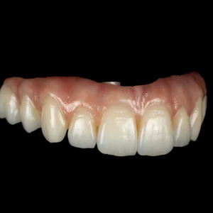Magne Education dental Continuing Education course